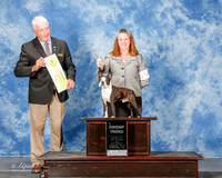 Boston Terrier #15 Sat G3 Kinnaird Stacie Dawn Mancine Fred Villaume Sharon Judge Steve Keating