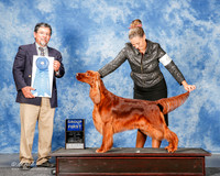Irish Setter #6 Sat G1 Young Katherine Agent Matias Mato Judge Elizardo Valadez