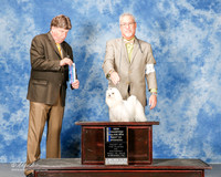 Maltese #14 Sat NC Maj BOW Derosario Tina Agent Dan Haley Judge Charles Olvis