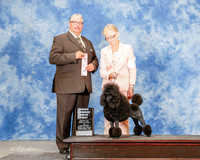 Poodle Miniature #6 Sat OH G1 Bengle Mary