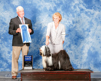 Tibetan Terrier #7 Sat G1 Planche Dina and Mikki and Lois DeMers Agent Lois DeMers Judge Steve Keating