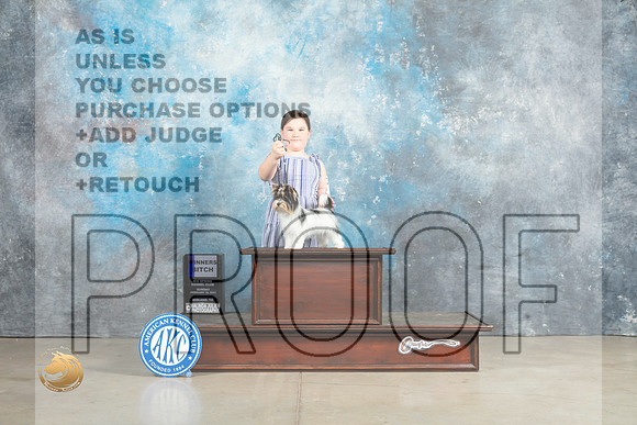 Biewer Terrier #8 Sun WB Judge Elizabeth Muthard_MJ_2557_Midland2023_HR3