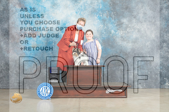 Biewer Terrier #8 Sun WB Judge Elizabeth Muthard_MJ_2561_Midland2023_HR3