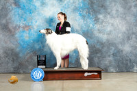 Borzoi #19 Sun SDM Judge Judith Brown