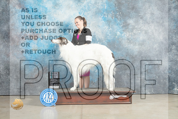 Borzoi #19 Sun SDM Judge Judith Brown_MJ_2375_Midland2023_HR3