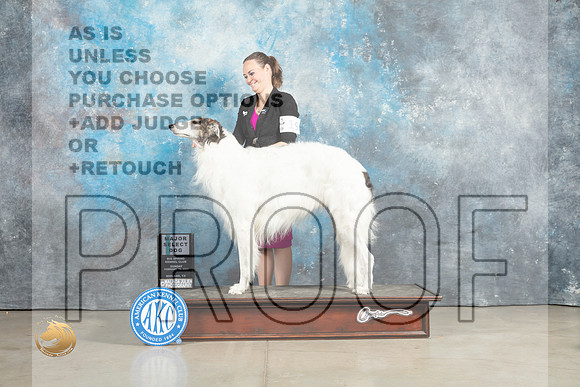 Borzoi #19 Sun SDM Judge Judith Brown_MJ_2376_Midland2023_HR3