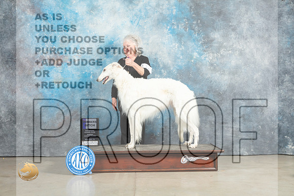 Borzoi #19 Sun SDM Judge Judith Brown_MJ_2378_Midland2023_HR3
