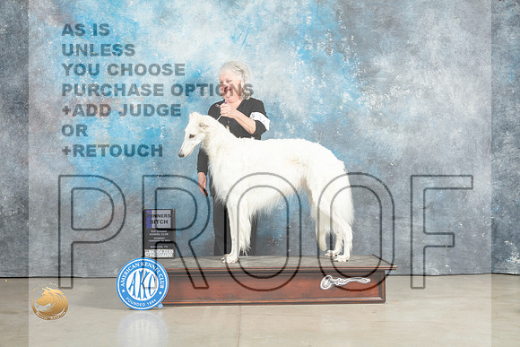 Borzoi #19 Sun SDM Judge Judith Brown_MJ_2379_Midland2023_HR3