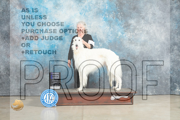 Borzoi #19 Sun SDM Judge Judith Brown_MJ_2381_Midland2023_HR3