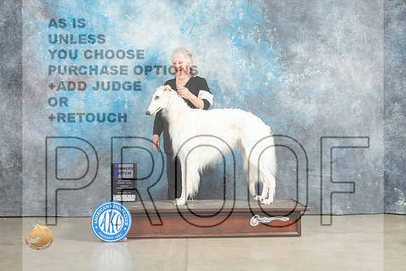 Borzoi #19 Sun SDM Judge Judith Brown_MJ_2383_Midland2023_HR3