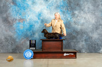 Dachshund Longhaired #7 Sat BOVGCH Judge Charles Olvis r