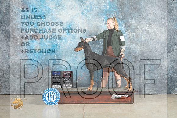 Doberman Pinscher #5 Sun BOWOHBOB Judge John Lucas_MJ_2354_Midland2023_HR3