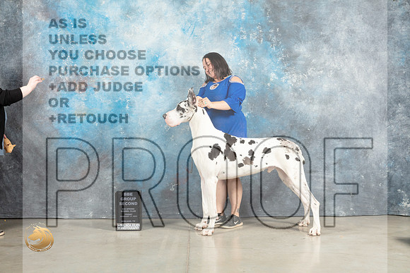 Great Dane #23 Fri BOBWDBBEG2BBE Judge Sherry Patton_MJ_2434_Midland2023_HR3