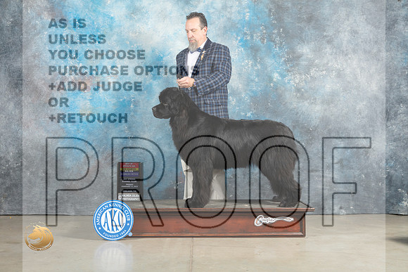 Newfoundland #10 Sun BOSWB Judge Jon Cole_MJ_2532_Midland2023_HR3