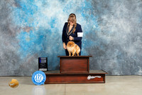 Pomeranian #5 Sun WD Judge Charles Olvis