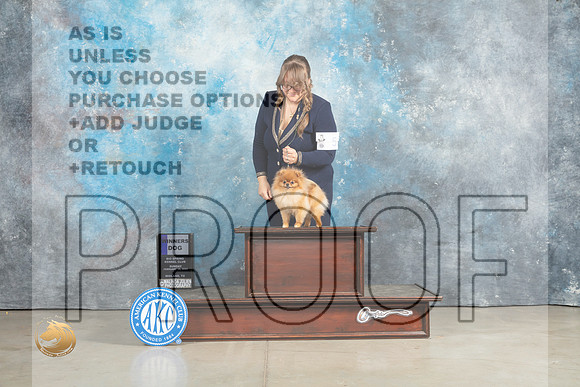 Pomeranian #5 Sun WD Judge Charles Olvis_MJ_2395_Midland2023_HR3