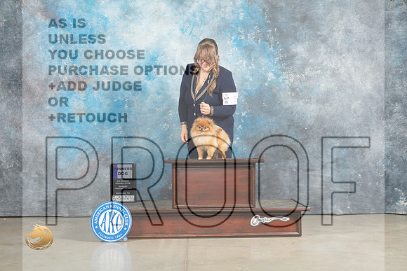 Pomeranian #5 Sun WD Judge Charles Olvis_MJ_2397_Midland2023_HR3