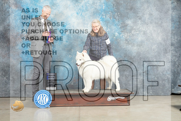 Samoyed #16 Sun WB Judge Jon Cole_MJ_2463_Midland2023_HR3