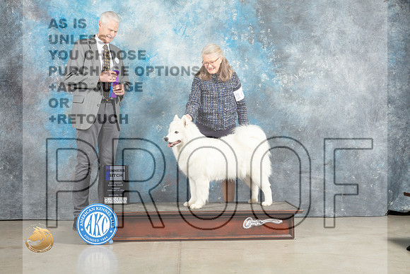 Samoyed #16 Sun WB Judge Jon Cole_MJ_2465_Midland2023_HR3