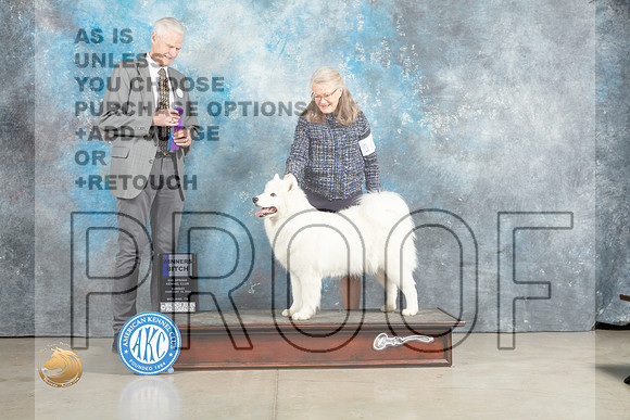 Samoyed #16 Sun WB Judge Jon Cole_MJ_2466_Midland2023_HR3