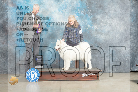 Samoyed #16 Sun WB Judge Jon Cole_MJ_2467_Midland2023_HR3