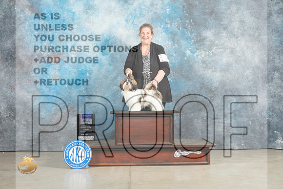 Shih Tzu #6 Sun BOSBOWWBM Judge Charles Olvis_MJ_2370_Midland2023_HR3