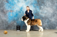 St Bernard #7 Thur G4 Judge Charles Olvis r