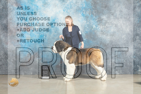 St Bernard #7 Thur G4 Judge Charles Olvis r_MJ_2547_Midland2023_HR3