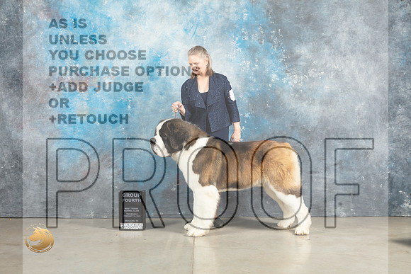 St Bernard #7 Thur G4 Judge Charles Olvis r_MJ_2550_Midland2023_HR3