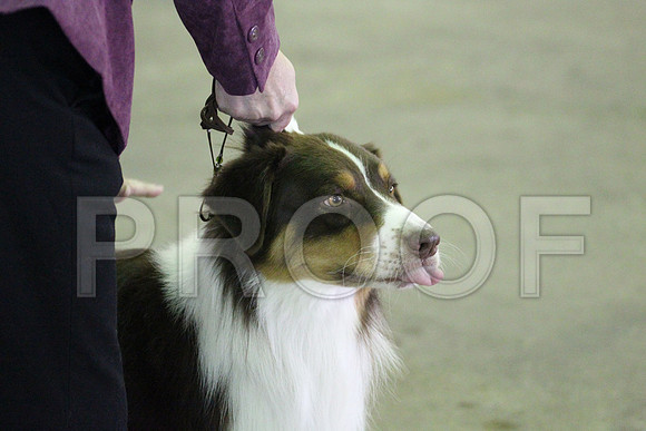 MJS_0336
