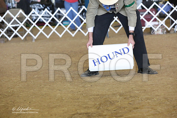 HoundGrp-8863-LR