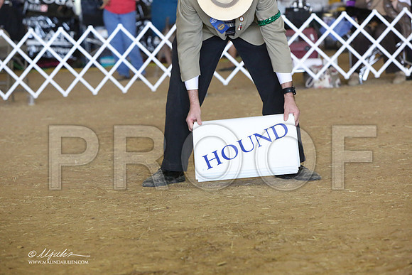 HoundGrp-8864-LR