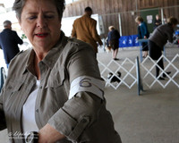 Scottish Terrier #6 Sat Best of Breed Claudia Leffler & Susan Finn Judge S Goldberg LR Houston Mar 2013