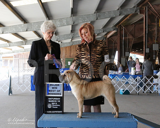SharPei-7110-LR