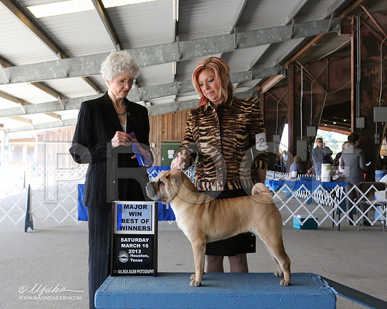 SharPei-7115-LR