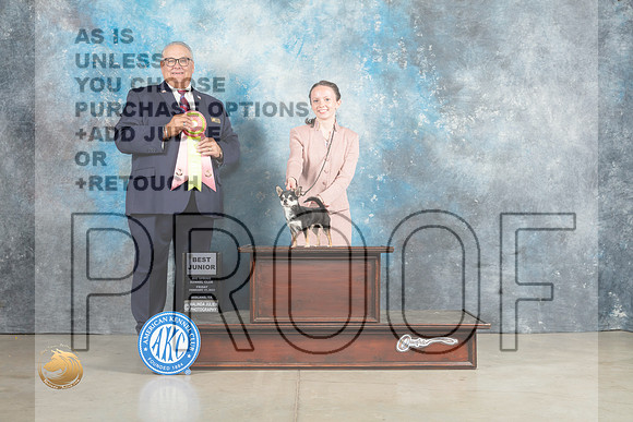 Chihuahua Smooth #J750 Sun BJr Judge John Lucas_MJ_2570_Midland2023_HR3