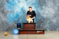 Pomeranian #17 Sat G1 Judge Elizardo Valadez r