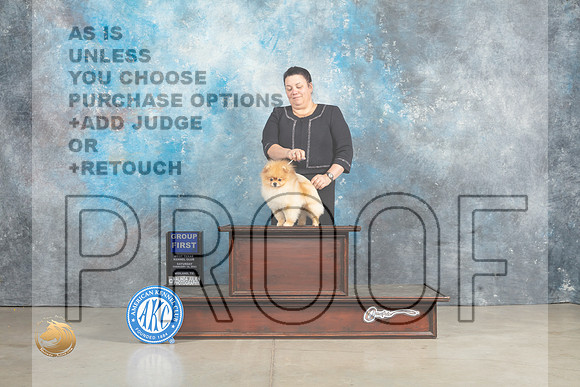 Pomeranian #17 Sat G1 Judge Elizardo Valadez r_MJ_2565_Midland2023_HR3