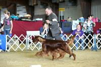 Sporting Group Ring Sat LR Houston Mar 2013