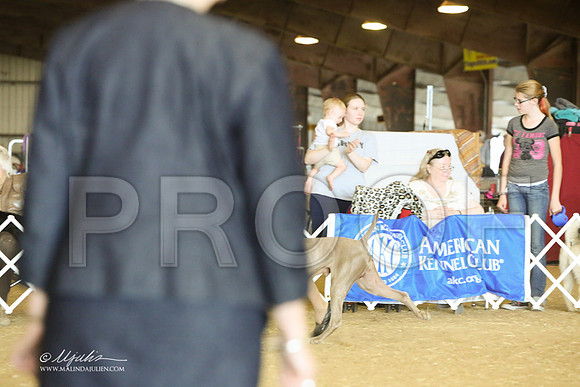 SportingGrp-8381-LR