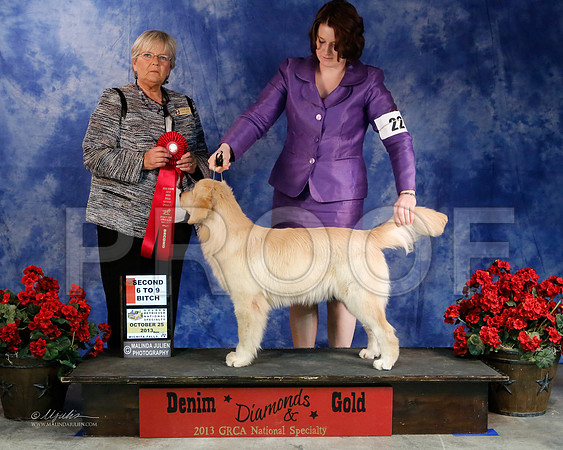 Pup6-9-7937-WFOct2013-HR