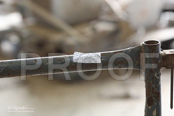 TFT-7637-LR