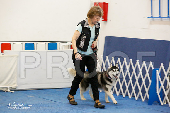 _M3_7730-AddisonHuskyMar2015-HR3