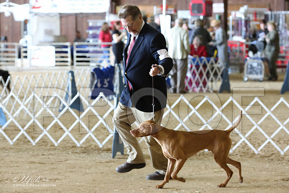 Viz-9255-LR