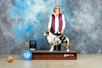Australian Shepherd #14 Sun BOSWB Judge Elizabeth Muthard