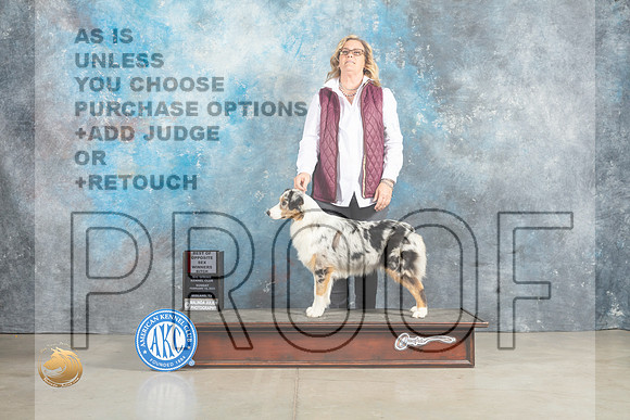Australian Shepherd #14 Sun BOSWB Judge Elizabeth Muthard_MJ_2609_Midland2023_HR3