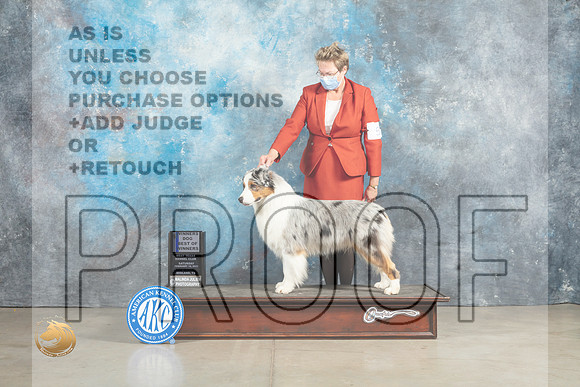 Australian Shepherd #7 Sun BOWWD Judge Elizabeth Muthard_MJ_2606_Midland2023_HR3