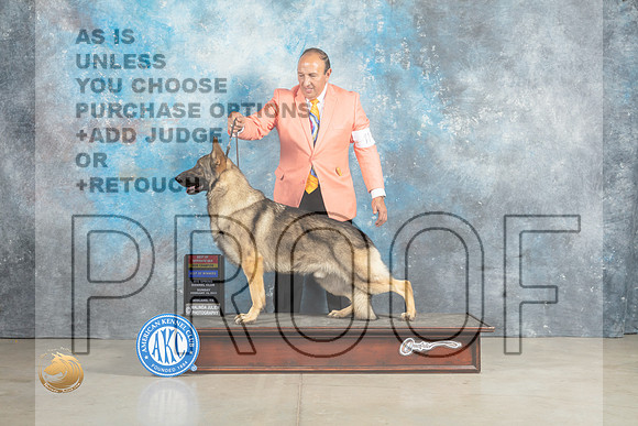 German Shepherd Dog #11 Fri BOWBOS Judge Elizardo Valadez_MJ_2617_Midland2023_HR3