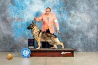 German Shepherd Dog #11 Fri BOWBOS Judge Elizardo Valadez