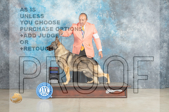 German Shepherd Dog #11 Fri BOWBOS Judge Elizardo Valadez_MJ_2615_Midland2023_HR3